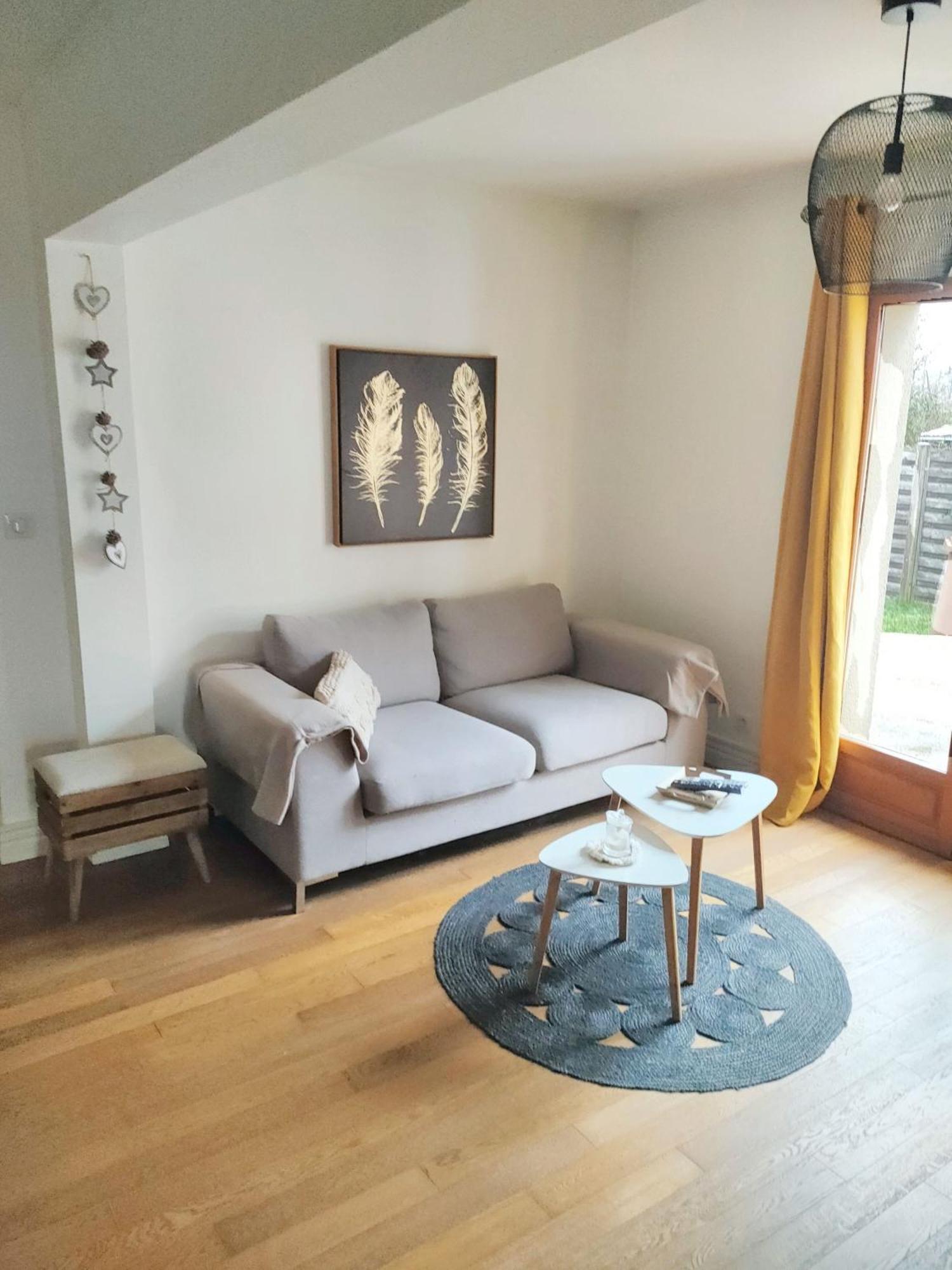 Maison Charmante A Vierzon Avec Jardin Prive Eksteriør billede